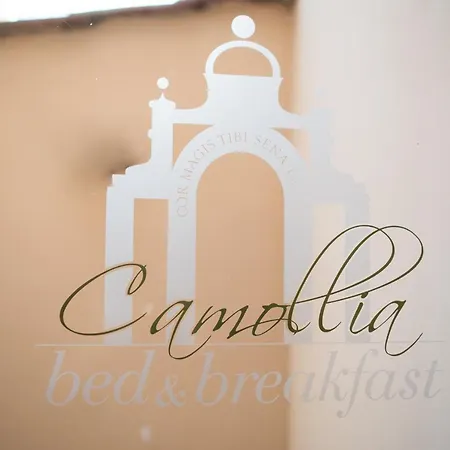 Camollia סיינה